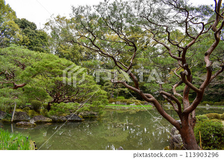 [京都旅遊]平安神宮庭園_白虎池 113903296