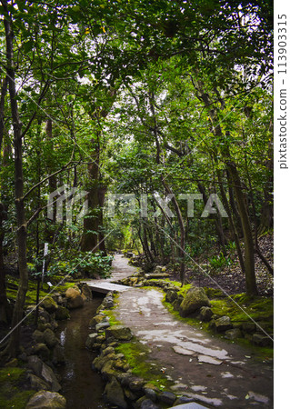 [Kyoto Tourism] Heian Shrine Gardens - A walk through a forest-like garden 113903315