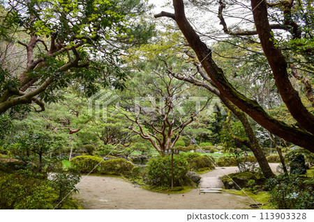 [Kyoto Tourism] Heian Shrine Gardens - Byakko Pond peeking through the trees 113903328