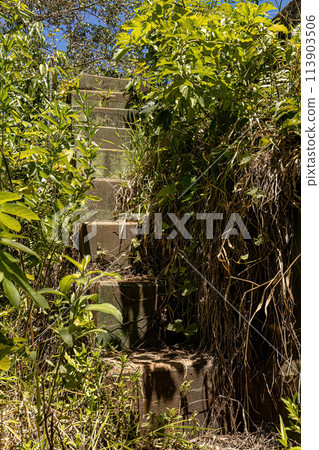 stairs in old abandoned outdoor building 113903506