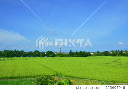 Scenery from the train window on the Kosei Line (Summer 2022) Scenery from the train window on the Kosei Line (Summer 2022) 113903946