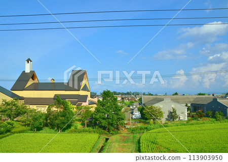 Scenery from the train window on the Kosei Line (Summer 2022) Scenery from the train window on the Kosei Line (Summer 2022) 113903950