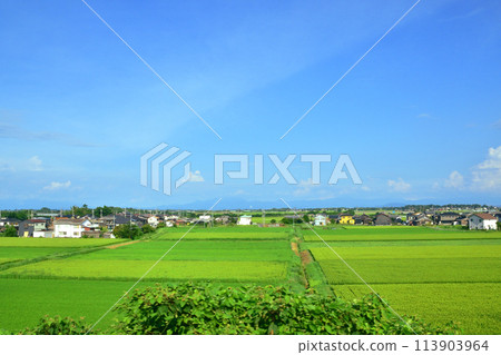 Scenery from the train window on the Kosei Line (Summer 2022) Scenery from the train window on the Kosei Line (Summer 2022) 113903964