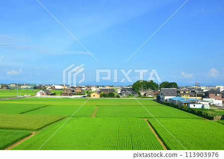 Scenery from the train window on the Kosei Line (Summer 2022) 113903976