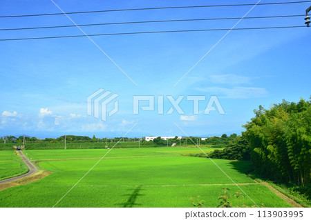 Scenery from the train window on the Kosei Line (Summer 2022) Scenery from the train window on the Kosei Line (Summer 2022) 113903995