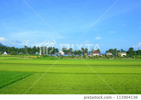 Scenery from the train window on the Kosei Line (Summer 2022) Scenery from the train window on the Kosei Line (Summer 2022) 113904136