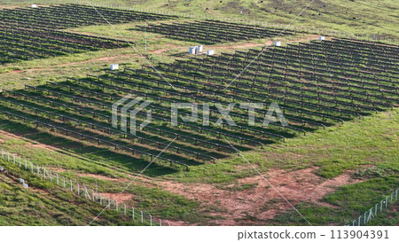 solar energy plant in rural area 113904391
