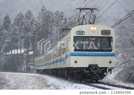 Chichibu Railway 1000 series train (new paint: former JNR 101 series) traveling through the winter forest 113904598