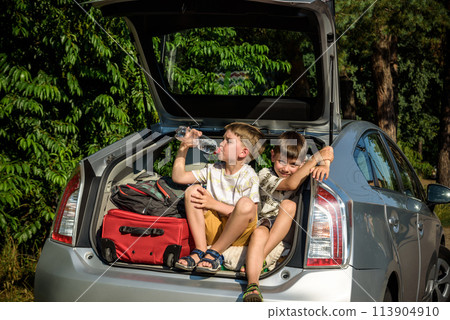 Two cute boys sitting in a car trunk before going on vacations with their parents. Two kids looking forward for a road trip or travel. Summer break at school. Family travel by car 113904910
