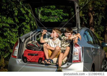 Two cute boys sitting in a car trunk before going on vacations with their parents. Two kids looking forward for a road trip or travel. Summer break at school. Family travel by car 113904911