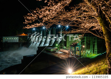 Illuminated Akiha Dam and cherry blossoms at night (Shizuoka Prefecture) 113905105