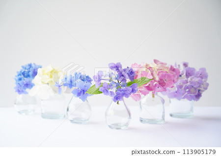 色彩繽紛的繡球花佈置 113905179