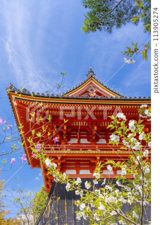 Spring in Kyoto: Ninnaji Temple Spring flowers and bell tower Spring in Kyoto: Ninnaji Temple Spring flowers and bell tower 113905274