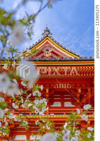 Spring in Kyoto: Ninnaji Temple Spring flowers and bell tower 113905275
