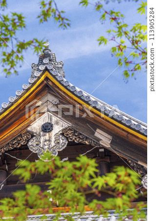 Kyoto Ninnaji Temple: Green leaves and the kenfish of the Kannon Hall 113905284