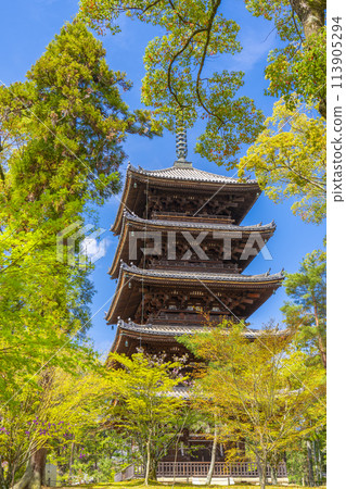 春天的京都,仁和寺,五層寶塔,周圍環繞著新鮮的綠樹 春天的京都,仁和寺,五層寶塔,周圍環繞著新鮮的綠樹 113905294
