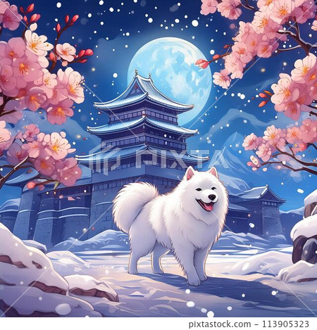 春天的夜晚，城堡和大薩摩耶，櫻花翩翩起舞 113905323