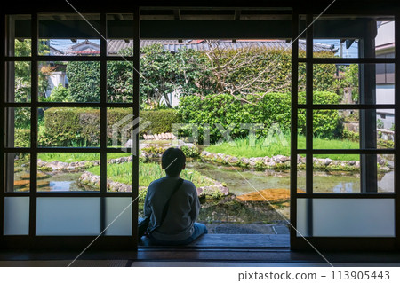 boy enjoy Spring garden Shimeis to see carp on pond, Shimabara 113905443