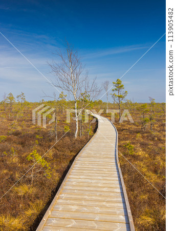 Viru Bog Viru Raba peat swamp, Estonia 113905482