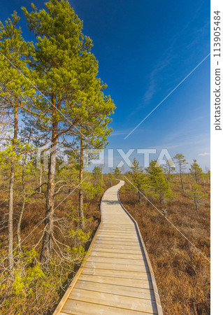 Viru Bog Viru Raba peat swamp, Estonia 113905484