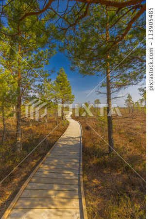 Viru Bog Viru Raba peat swamp, Estonia 113905485