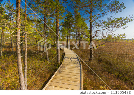 Viru Bog Viru Raba peat swamp, Estonia Viru Bog Viru Raba peat swamp, Estonia 113905488