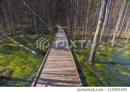 Viru Bog Viru Raba peat swamp, Estonia Viru Bog Viru Raba peat swamp, Estonia 113905490