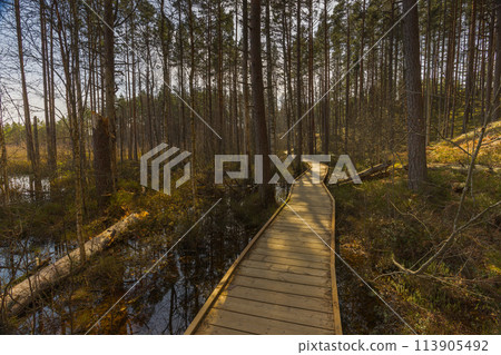Viru Bog Viru Raba peat swamp, Estonia 113905492
