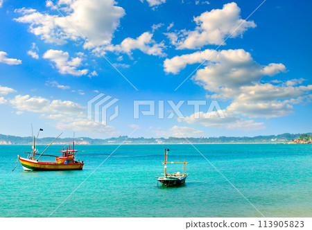 Old fishing boats, Weligama, Sri Lanka. 113905823