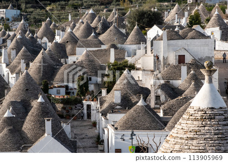 Scenic cityscape of downtown Alberobello with its famous Trulli buildings, Italy 113905969