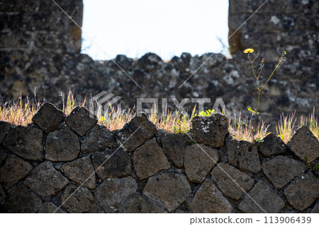 Close view of a typical composed ancient Roman wall at an old building in Herculaneum Close view of a typical composed ancient Roman wall at an old building in Herculaneum 113906439