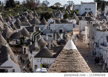 Scenic view over the historic Trulli district in Alberobello, Southern Italy 113906489