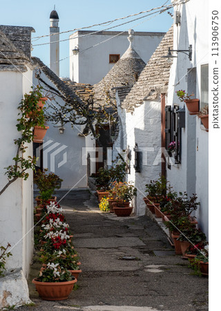 Iconic residential houses in historic Trulli district in Alberobello, Southern Italy 113906750