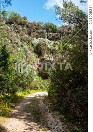 Hiking the famous Nature Trail Mergoli Vignanotica, Gargano Peninsula in Southern Italy Hiking the famous Nature Trail Mergoli Vignanotica, Gargano Peninsula in Southern Italy 113906854