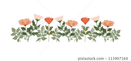 Colorful vintage spring flowers border, nature floral pattern frame isolated on white background, botanical flat design vector illustration 113907168