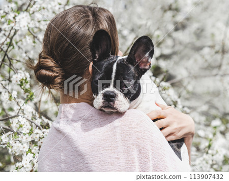 Cute puppy lying on a woman's shoulder Cute puppy lying on a woman's shoulder 113907432
