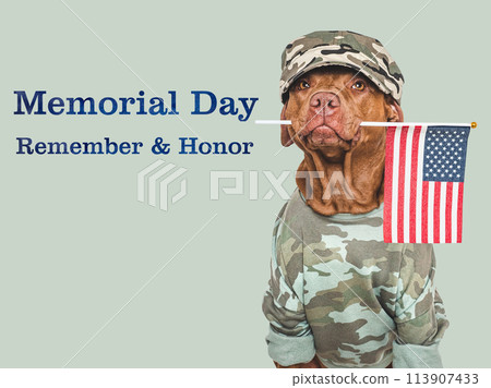 Memorial Day. Adorable dog and congratulatory inscription 113907433