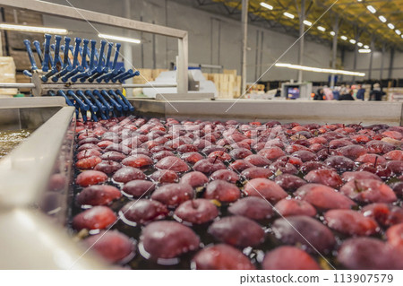 washing apples in production 113907579