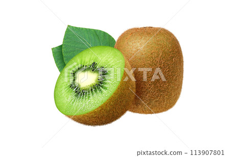 Kiwi illustration realistic 113907801