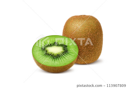獼猴桃插畫真實 113907809