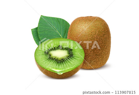 Kiwi illustration realistic 113907815