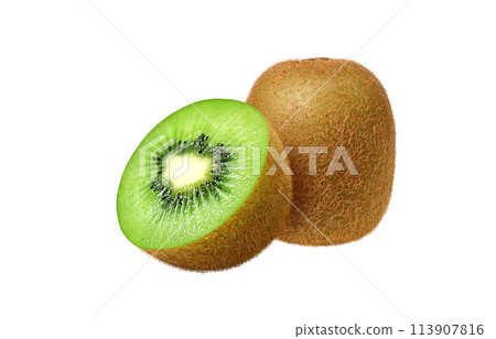 Kiwi illustration realistic 113907816