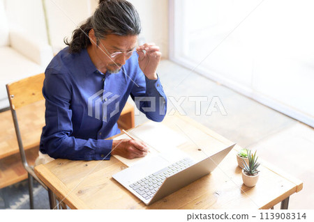 Elderly man using a laptop 113908314