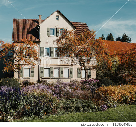 House with nice garden in fall. Flowers in the City Park of Bietigheim-Bissingen, Baden-Wuerttemberg, Germany, Europe. Autumn Park and house, nobody, bush and grenery 113908493