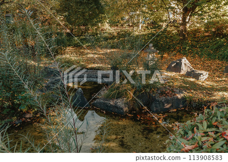 Beautiful Japanese Garden and red trees at autumn seson. A burst of fall color with pond reflections. 113908583