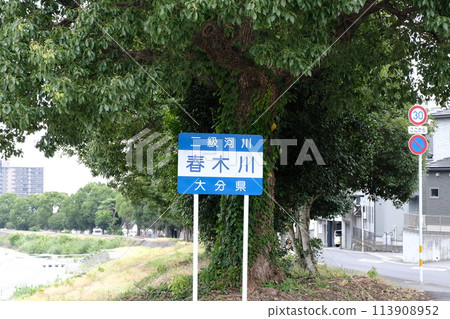 Beppu City Haruki Bridge and Haruki River 113908952