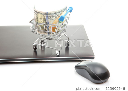 Model of a grocery cart with dollar money on the background of a laptop 113909646
