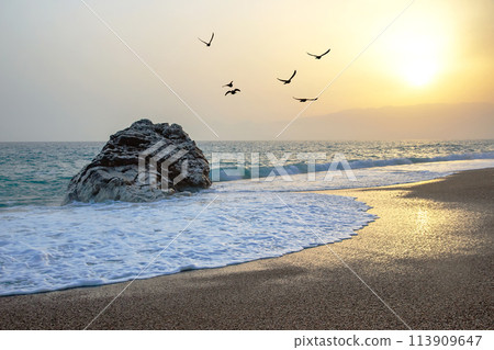 Sea wave beats on the rock against the sunset. silhouettes of a flock of flying birds 113909647
