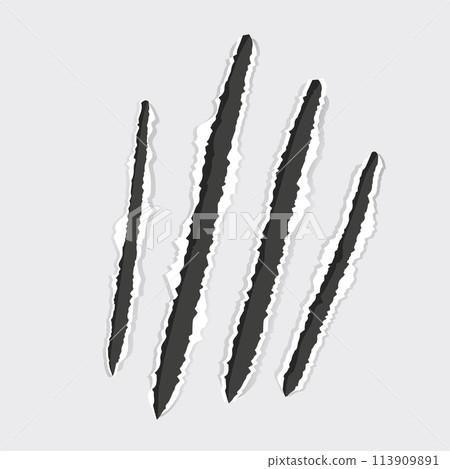 Scratch mark claw trace wild animal nails scratches textured torn paper edge on transparent background. Fancy cat, tiger, lion paw trace 113909891