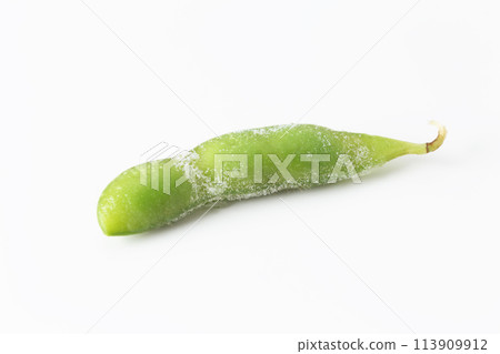 冷凍毛豆白色背景 113909912